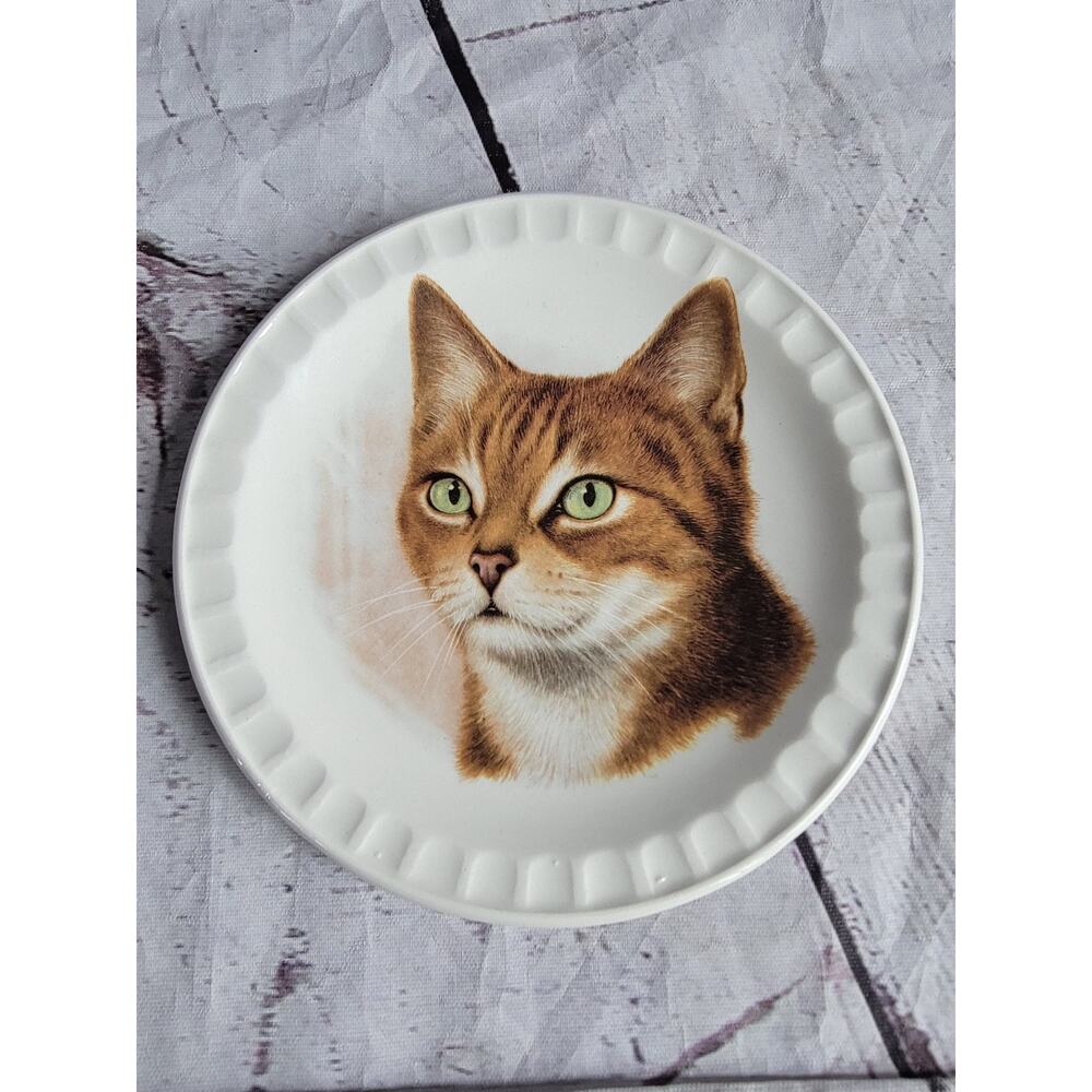 Vintage HOFFRITZ Porcelain Plate Tabby Cat Royal FalconWare Weatherby England